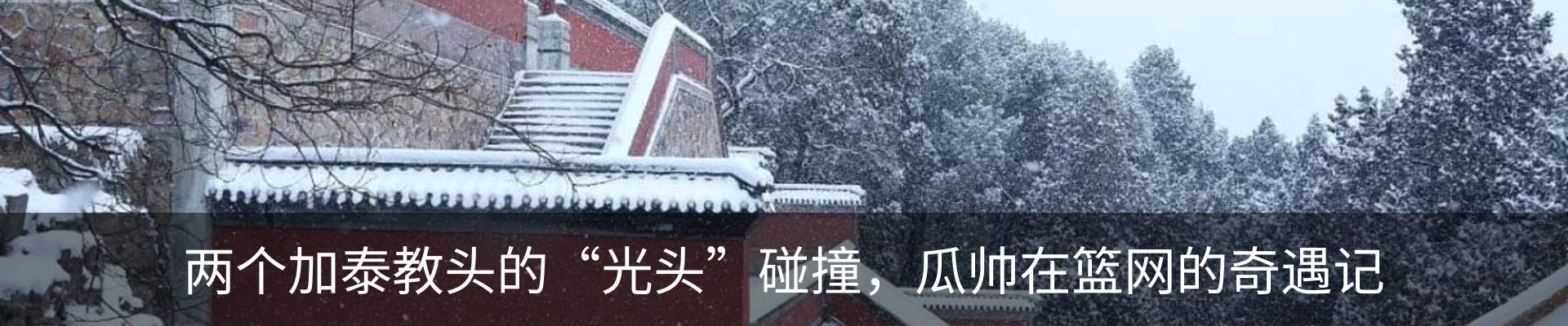 新闻动态